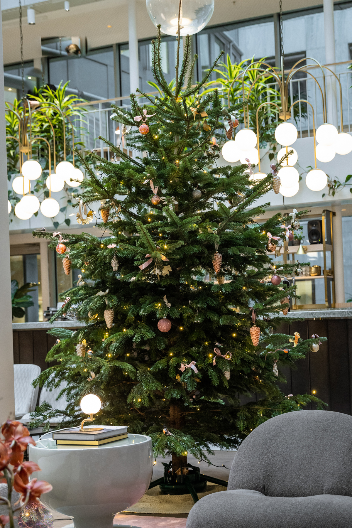 HS Cecil Julpynt LR  foto Maria Cruseman-19.jpg